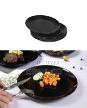 6 Piece Set of Ceramic Dinner Plates