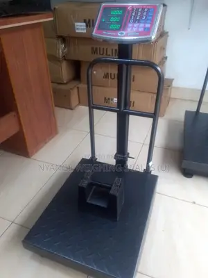 Weighing Scale Machine Platform Weighing Scale 200kg-350kg [19]