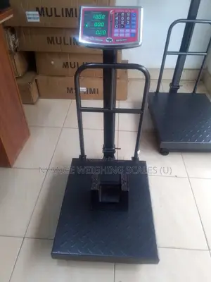 Digital Weighing Scale Portable Platform Weighing Scale (17)
