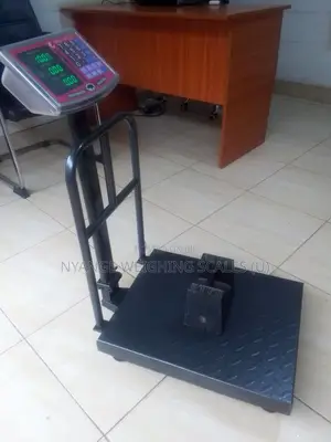 Electronic Type Iron Cast Platform Weighing Scales (73)
