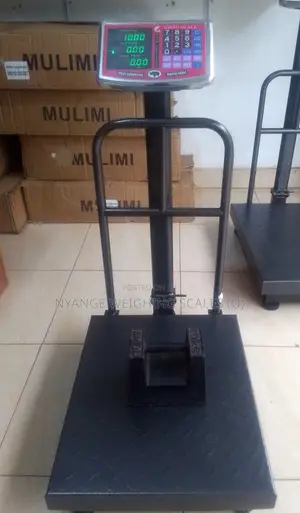 Good Quality Weighing Scales 200kg-350kg Weighing Scale