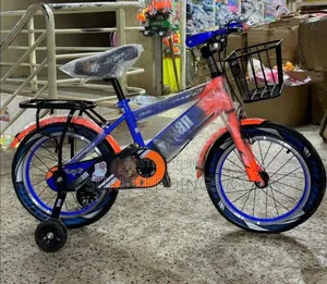 Birdie Kids Bicycle