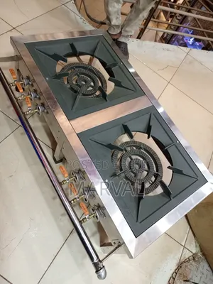 Commercial Stainless Steel Double-Burner Gas Cooker