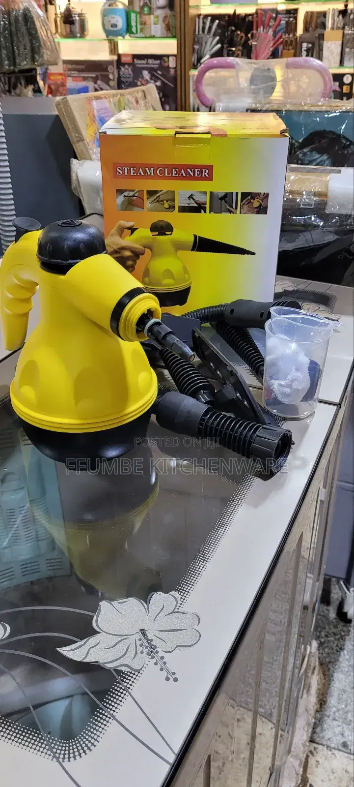 Steam Cleaner