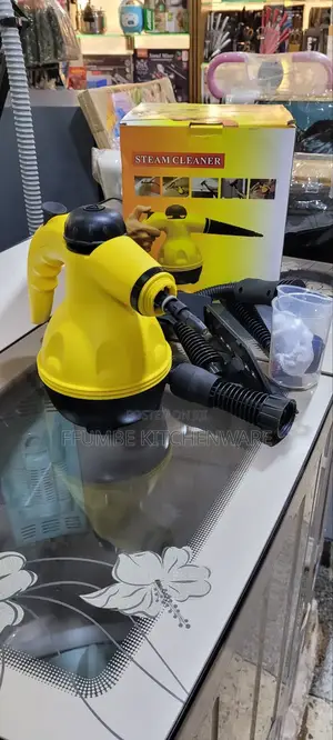 Steam Cleaner