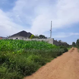 Two Plots Each Equivalent to 100 Ft X 100 Ft Onsale Mukono Mpoma