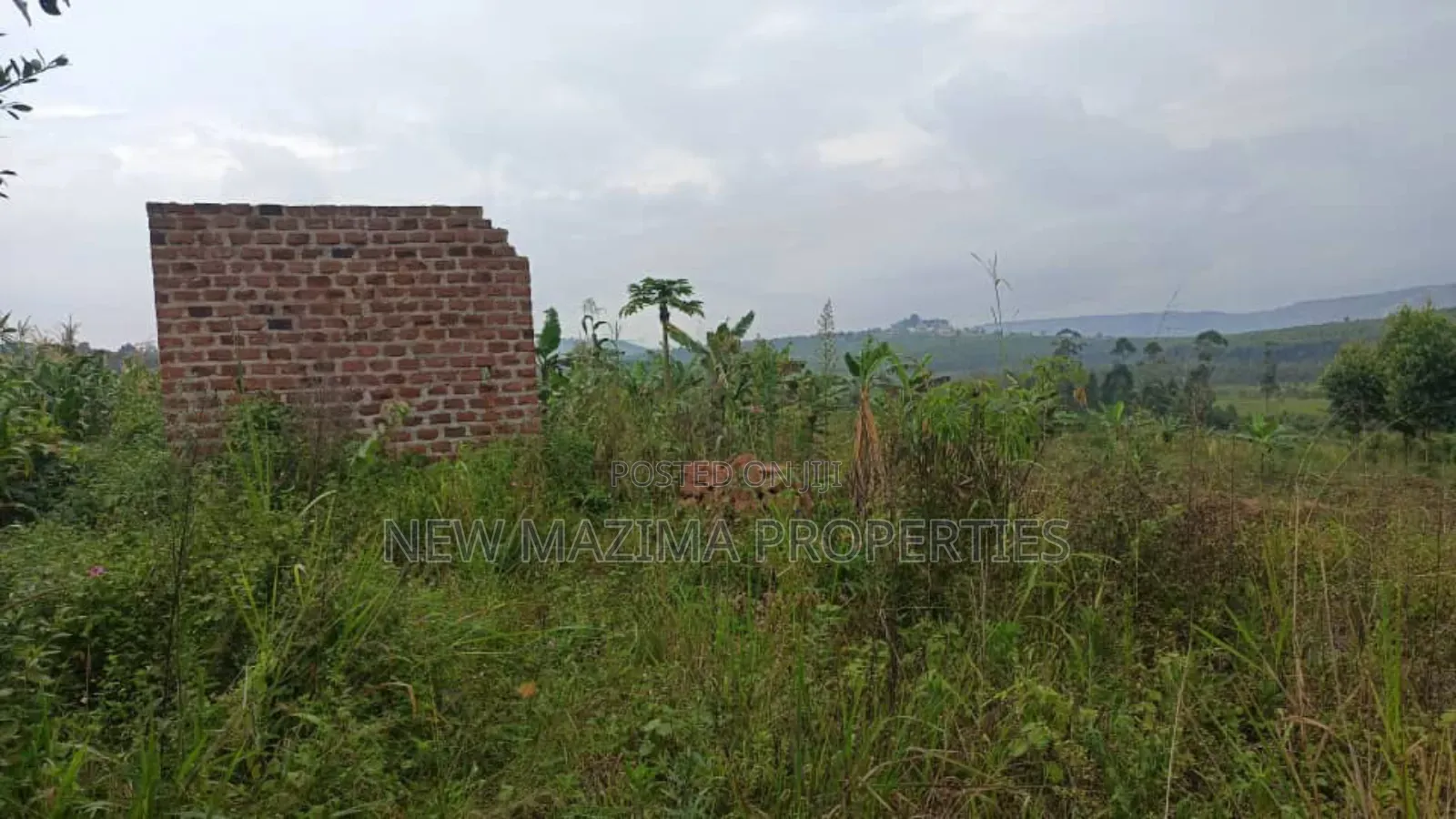 Very Hot Plots With Ready Private Title on Table on Quicksale Mpigi