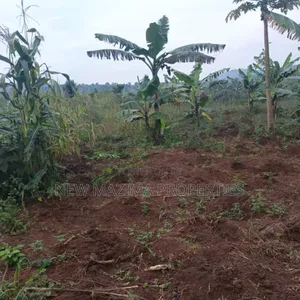 Very Hot Plots With Ready Private Title on Table on Quicksale Mpigi