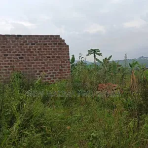 Very Hot Plots With Ready Private Title on Table on Quicksale Mpigi