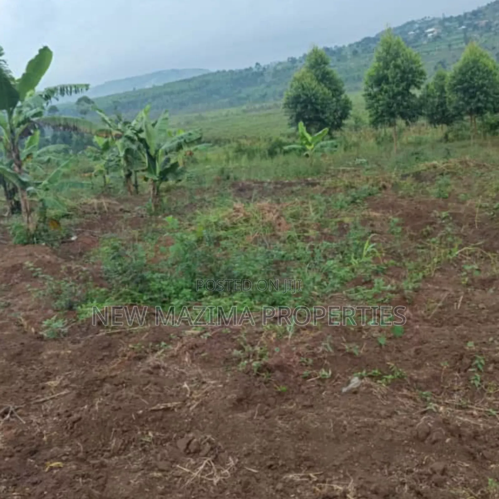 Very Hot Plots With Ready Private Title on Table on Quicksale Mpigi
