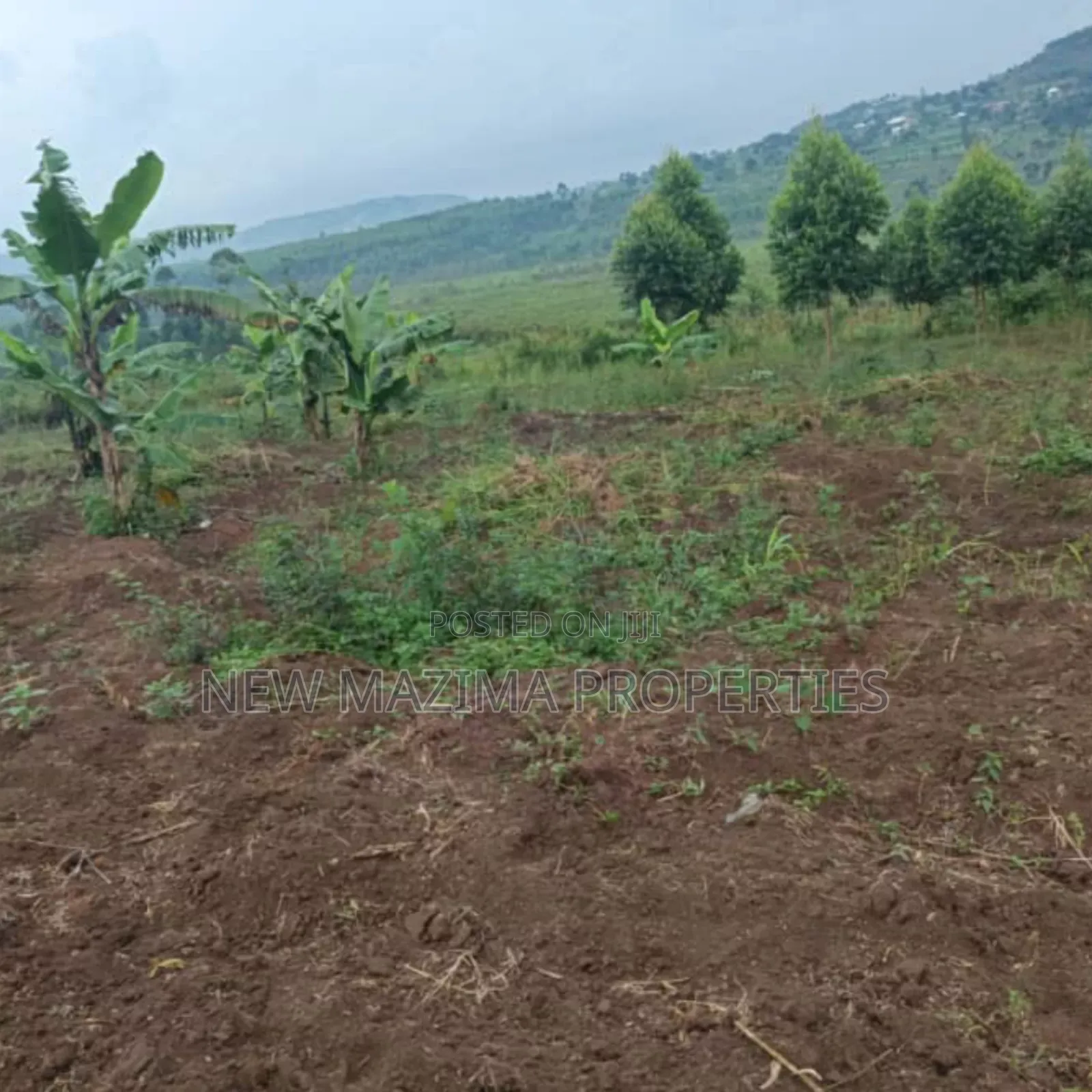 Very Hot Plots With Ready Private Title on Table on Quicksale Mpigi