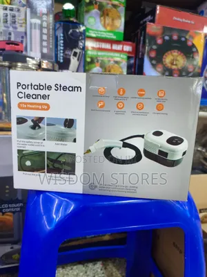 Portable Steam Cleaner