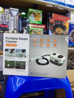 Portable Steam Cleaner