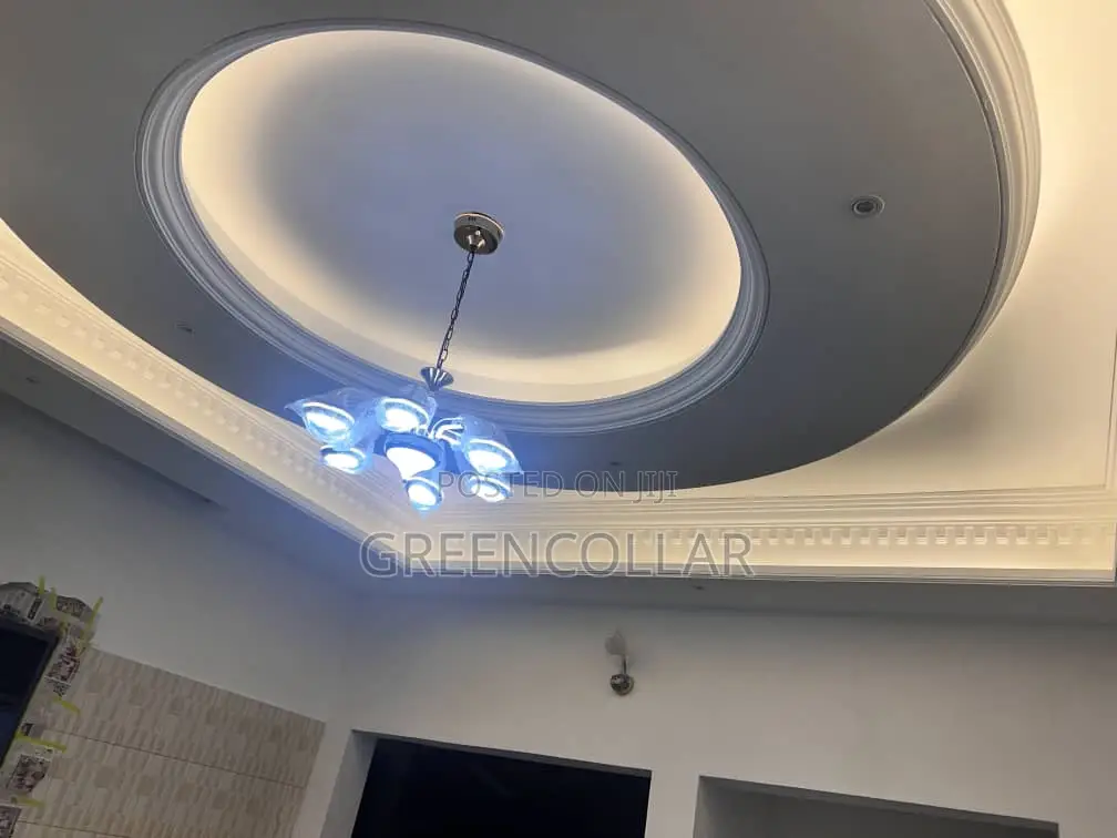 Professional Painters