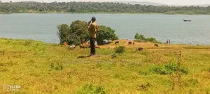 77 Decimals of Land on Urgent Sale at Katosi Landing Site.