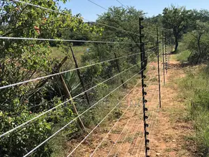 18 Strand Freestanding Electric Fencing