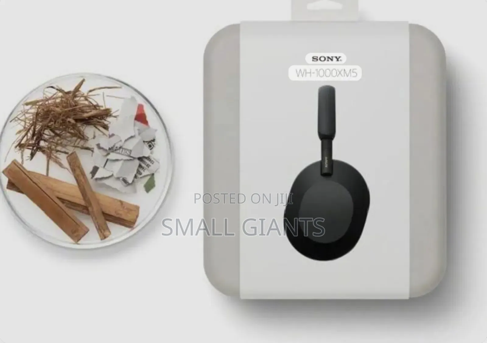 Sony Wh-1000xm5