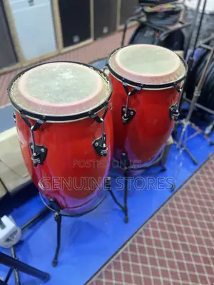 Conga Drum Set in Apair