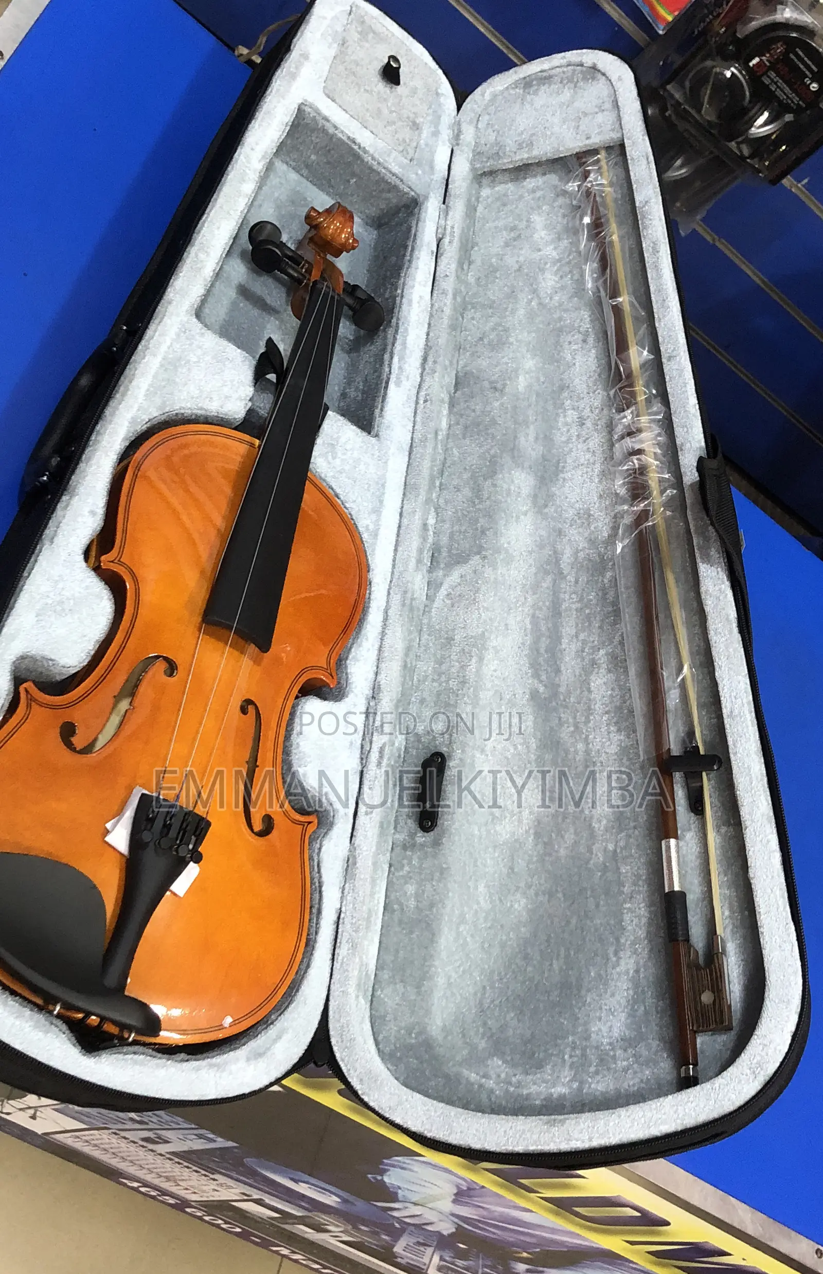 Violin With Case
