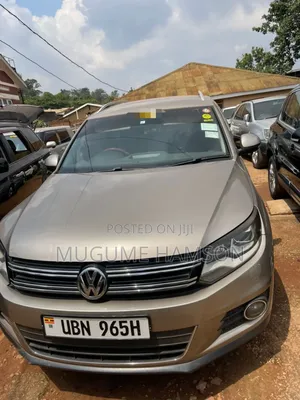 Volkswagen Tiguan 2013 Silver