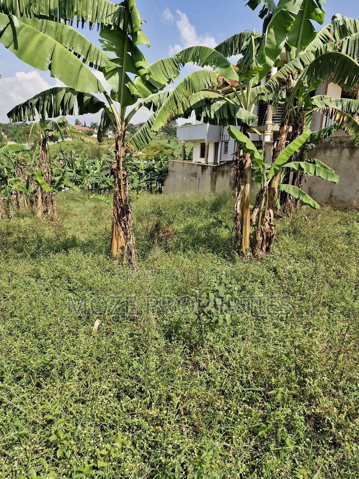 Kira Shemon 50x100 Plot for Sale.