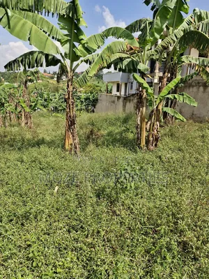Kira Shemon 50x100 Plot for Sale.