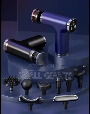 Professional Hot And Cold Double Effect Massage Gun