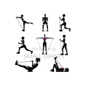 Resistance Bands Set - 11pc, Exercise Bands for Men/Women