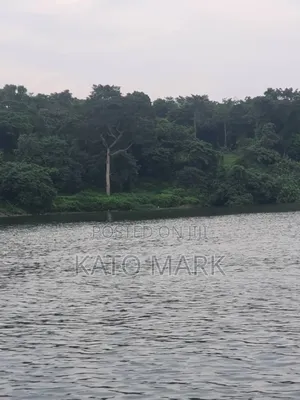 Lake View 5 Acres for Sale Located at Mukono Nkokonjeru