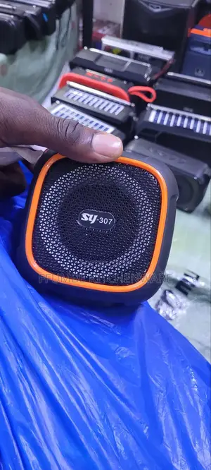 Wireless Speaker or Portable Speaker