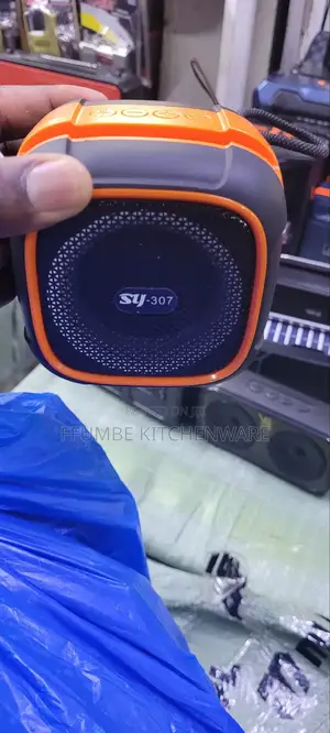 Wireless Speaker or Portable Speaker