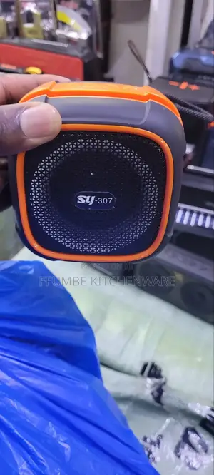 Wireless Speaker or Portable Speaker