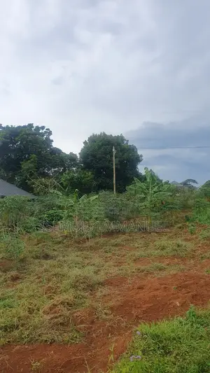 Plot in Bujumba Kalangala