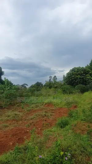 Plot in Bujumba Kalangala