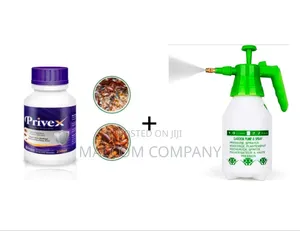 Non Smelling Bed Bugs and Coackroaches Killer Package.