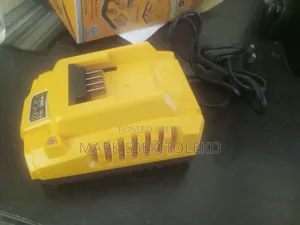 Ingco Battery Charger