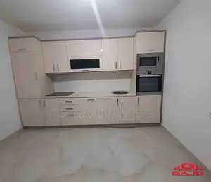 Stylish Kitchen Cabinets for Homes Apartments