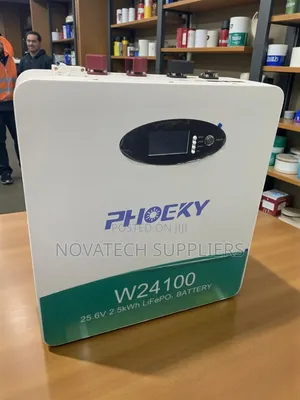 2.5kwh Wall-Mounted Lifepo4 Battery – Safe Reliable Energy