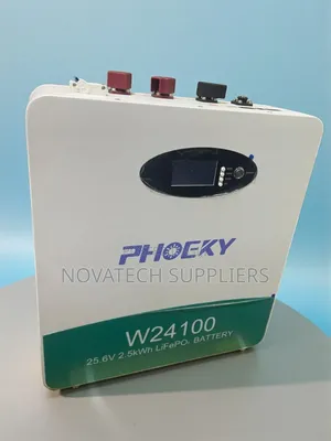 High-Performance 2.5kwh Lifepo4 Battery With Smart BMS