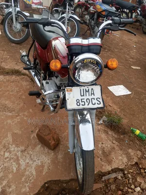 Bajaj Boxer 100 2025 Red