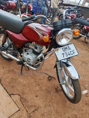 Bajaj Boxer 100 2025 Red