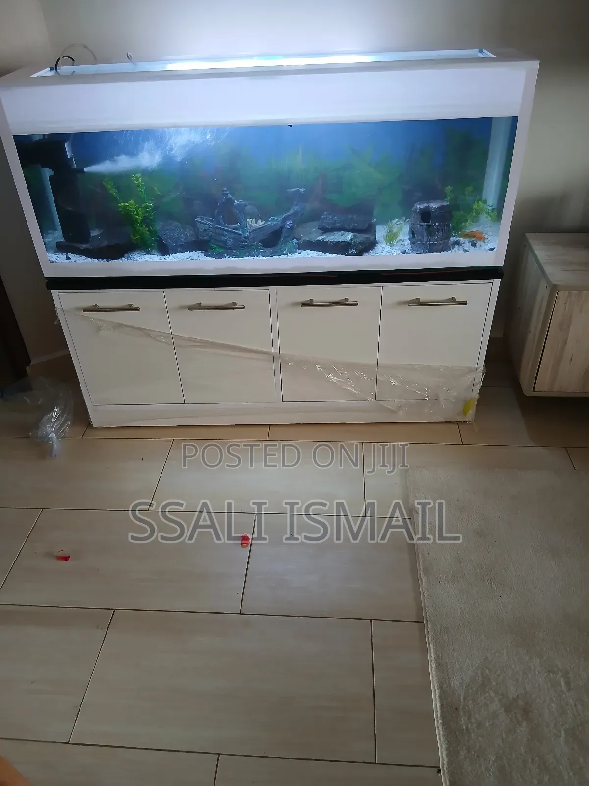 All White Colour Designed Aquarium