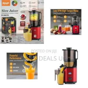 Raf Multifunction Slow Juicer That Retains Nutrients in Juice
