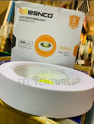 Down Light