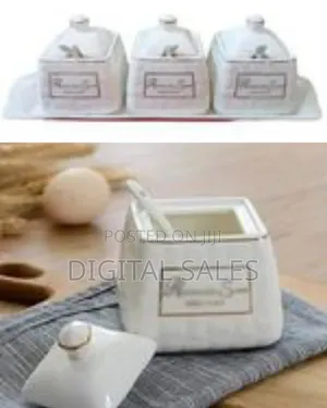 Elegant Ceramic Seasoning Jar Set