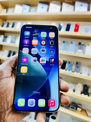 Apple iPhone 15 Pro Max 256 GB Gray