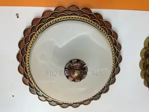 Ceiling Light