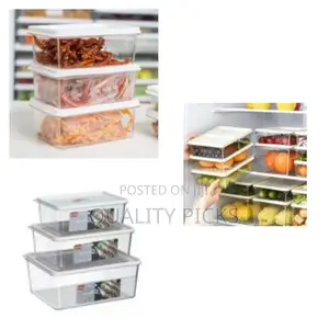 3 Pieces of Plastic Food Storage Container Boxes-Colourless