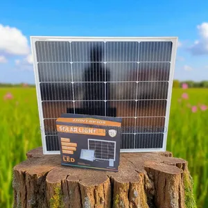 Wawa 500w Blue Carbon Solar Flood Light – High Power Lighting