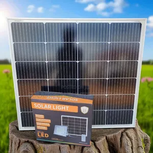 500w Blue Carbon Wawa Solar Flood Light With Lithium Battery